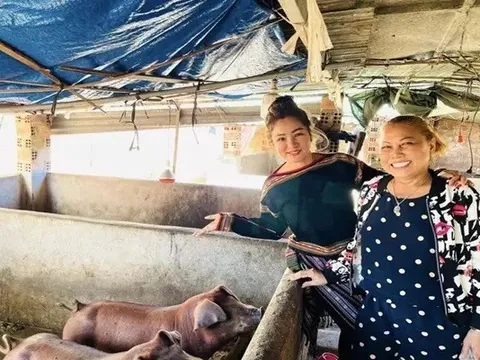 Siu Black không thể xuất cảnh vì nợ thuế