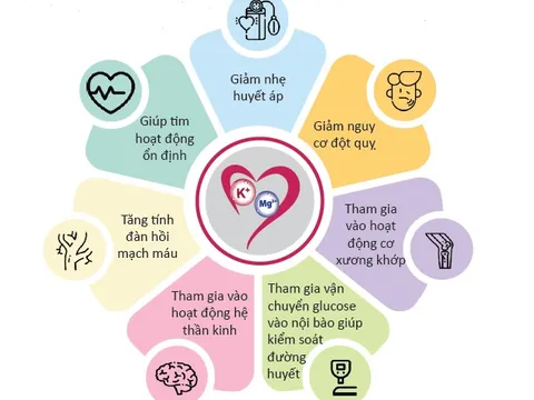 Một số quan niệm sai về bổ sung Kali và Magnesi