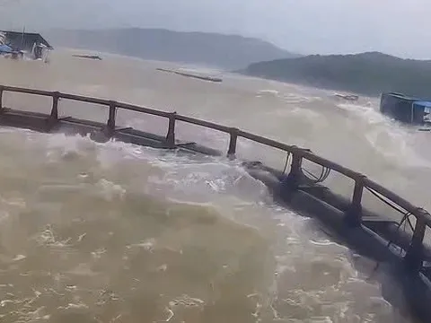 Quảng Trị: 4 người bị thương, hơn 2.100ha lúa ngập úng do mưa lũ