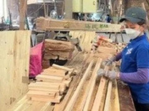 Phú Yên: người được thưởng Tết cao nhất là 100,6 triệu đồng