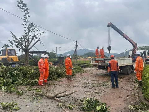 Khẩn trương khắc phục hậu quả bão số 5