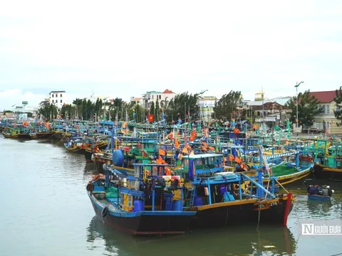 Trung tâm đăng kiểm chưa có con dấu khiến hàng trăm tàu cá không thể đăng kiểm ở Lâm Đồng