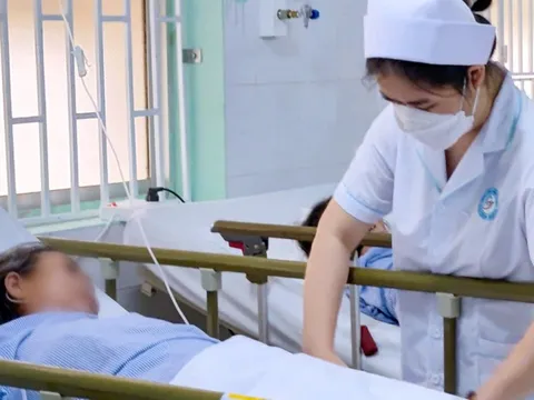 Cứu sống 2 vợ chồng nguy kịch vì ăn cá nóc