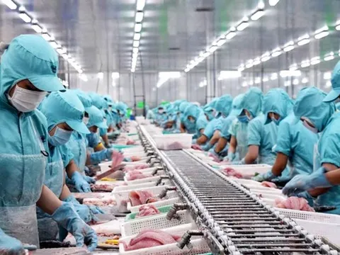 Đề xuất tiếp tục giảm thuế VAT giúp hỗ trợ doanh nghiệp và người dân trong năm 2023