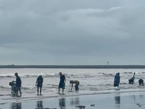 Cả làng đi nhặt thứ quý như 'vàng ròng' dạt vào biển Ninh Bình sau bão số 5