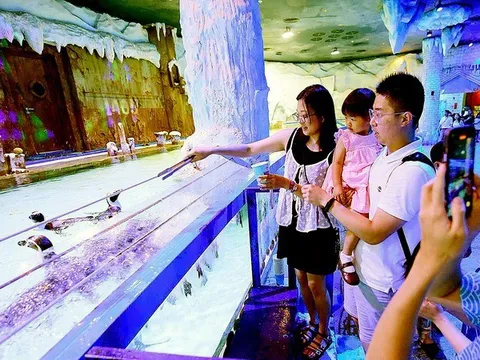 Cha mẹ im lặng trước chuyện cưới hỏi, sinh con: Thấu hiểu hay thất bại trong việc định hướng?