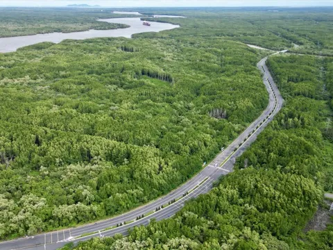 Bổ sung quy định về tạm sử dụng rừng để thi công các dự án cấp thiết