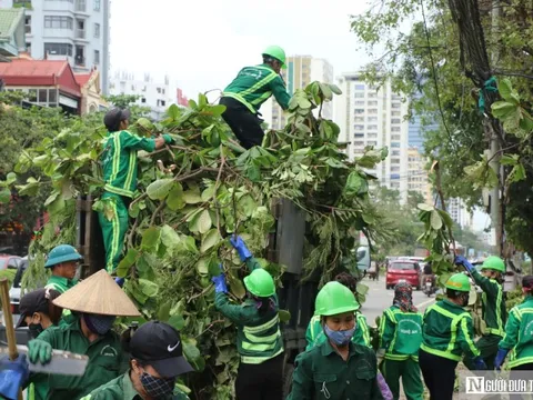 Nghệ An căng mình xử lý lượng rác "khổng lồ" sau bão