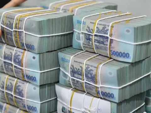 Thanh tra NHNN cảnh báo rủi ro một số khoản vay tại ngân hàng chi nhánh Đà Nẵng