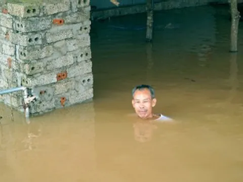 Người dân vùng rốn lũ Thanh Hóa: Nước ngập ngang cổ, vật nuôi sống trên mái nhà