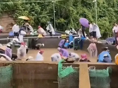 Nữ chủ trại nói sự thật về thông tin cả chục người nhảy xuống bể 'hôi của' cá tầm