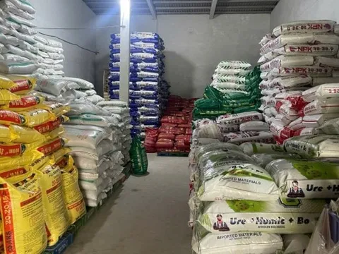 Phát hiện một công ty mua bán hơn 115 tấn phân bón chưa có quyết định lưu hành