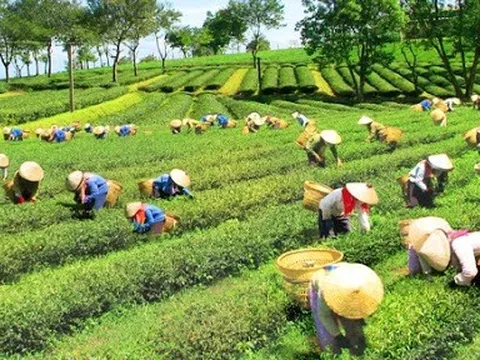 Tạo điều kiện để đồng bào dân tộc thiểu số cùng đất nước bước vào kỷ nguyên phát triển mới