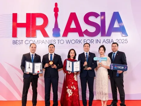 Giải mã lý do NCB thu hút nhiều nhân tài