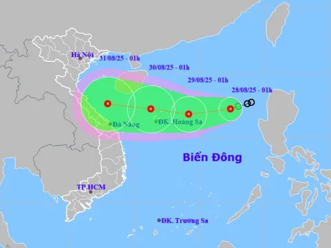 Tin mới về áp thấp nhiệt đới trên Biển Đông