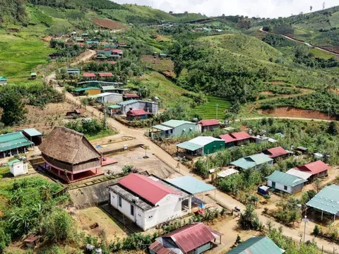 Tương lai mở ra ở làng 'quốc bảo' sâm Ngọc Linh
