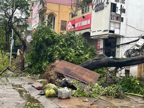 Nghệ An ngổn ngang sau bão số 5