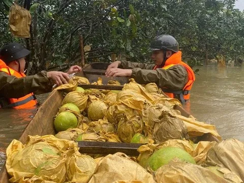 Chiến sĩ công an ngâm mình trong nước lũ “giải cứu” đặc sản Hà Tĩnh