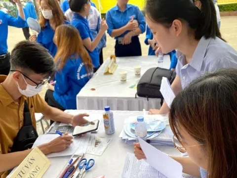 Kế hoạch triển khai thi hành Luật Việc làm