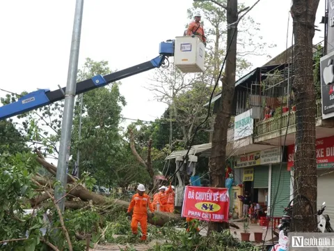 Điện lực Nghệ An cảnh báo người dân về an toàn điện sau mưa bão
