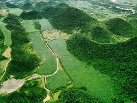 Thu hồi gần 65 ha đất thuộc dự án hơn 500 tỷ ‘bất động’ 15 năm ở Ninh Bình