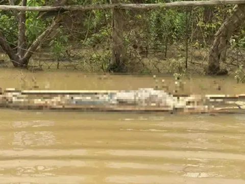 Tá hỏa phát hiện nhiều thi thể trôi dạt trên lòng hồ thủy điện