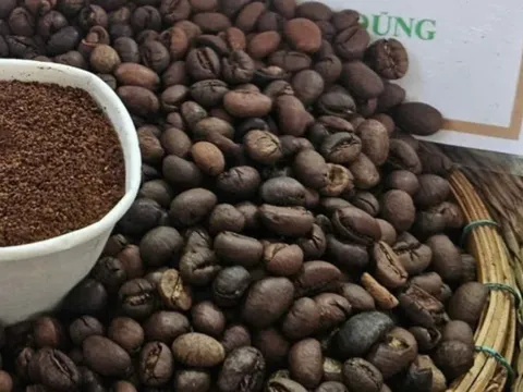 Giá cà phê biến động trái chiều hậu Mỹ áp thuế Brazil, giá hồ tiêu quay đầu giảm