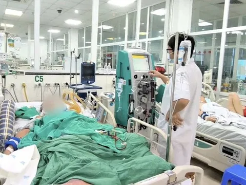 Bị gai đâm, người đàn ông sốc nhiễm trùng, nguy kịch tính mạng