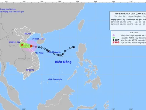 Thủ tướng Chính phủ yêu cầu tập trung ứng phó bão số 6