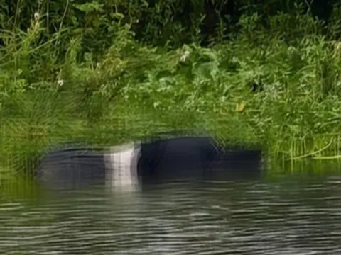 Hai thiếu nữ 16 tuổi cùng phòng trọ tử vong với lời nhắn gửi chủ nhà trọ