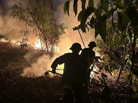 Dập lửa cháy rừng, phát hiện thi thể một người đàn ông