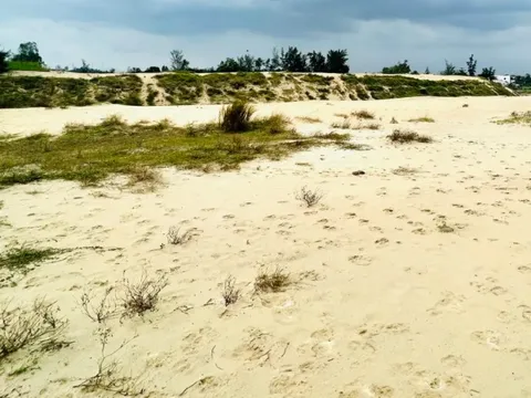 Tiết lộ doanh nghiệp bỏ gần 50 tỷ đồng mua cát nạo vét sông Cổ Cò ở Đà Nẵng