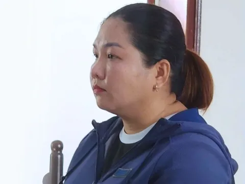 Bắt cựu cán bộ tư pháp xã lừa đảo chiếm đoạt 2,1 tỷ đồng