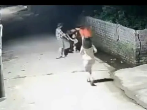 VIDEO: Bé trai 4 tuổi nhanh trí hô hoán người lớn cứu em 2 tuổi rơi xuống mương nước