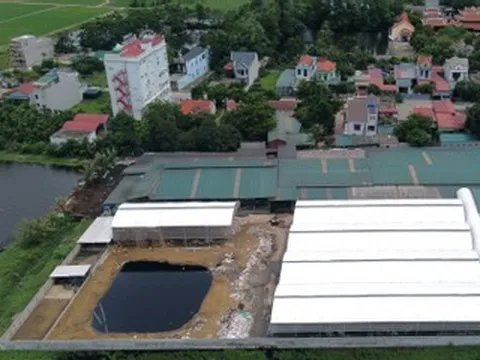 Vụ dân cay mắt sống cạnh 900 con bò: Biên bản của xã gây bất ngờ