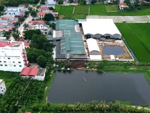 Vụ dân cay mắt sống cạnh 900 con bò: Yêu cầu tháo dỡ các công trình trái phép