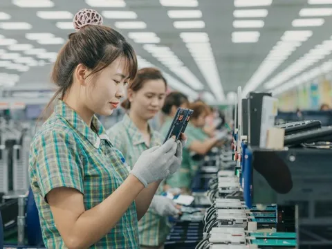 Kinh tế 8 tháng: Xuất siêu chục tỉ USD, số doanh nghiệp thành lập mới tăng vọt