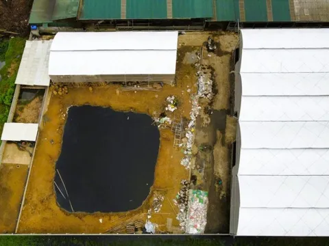 Tháo dỡ trang trại hàng trăm con bò sát khu dân cư ở Thanh Hóa