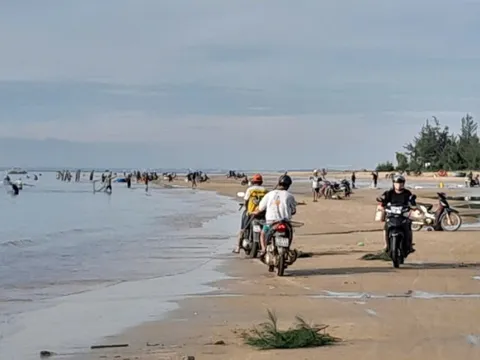Ruốc về bờ dày đặc, hàng trăm người dân ra bãi biển vớt thu tiền triệu