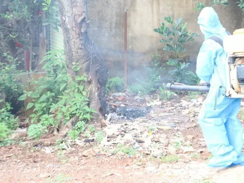 Hà Nội: Thêm 161 ca mắc sốt xuất huyết trong tuần qua