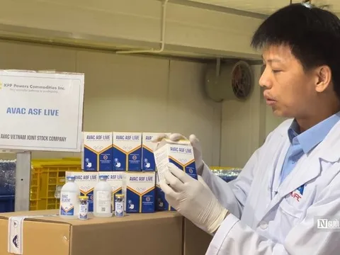 Vắc-xin dịch tả lợn châu Phi của Việt Nam tiếp tục chinh phục thị trường Philippines