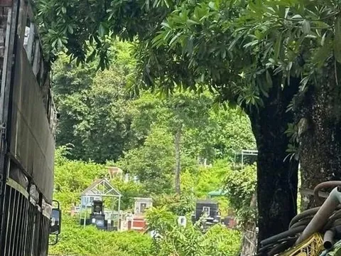 Vào nghĩa trang, người dân tá hoả khi phát hiện thi thể nam giới đang phân hủy