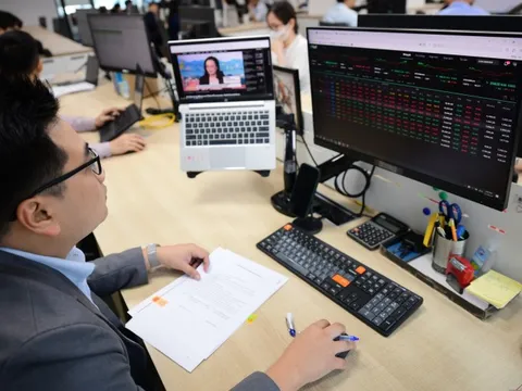 Soi danh mục quỹ ‘cá mập’: Cổ phiếu nào mang về lợi nhuận khủng?