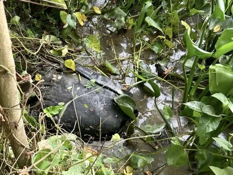 Lời khai kẻ giết người tình rồi chở thi thể hơn 70km phi tang xuống kênh