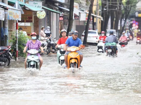 Dân bất ngờ khi Sở Xây dựng Cần Thơ gửi thư cảm ơn người hiến kế chống ngập