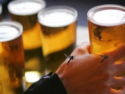 Nghiên cứu gây sốc: Muỗi khoái người uống bia và mới 'yêu'