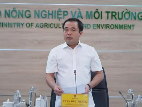 Philippines, Indonesia tạm dừng nhập khẩu gạo: "Người dân không cần lo chuyện bán lúa"