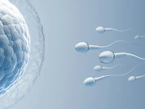 'Tinh trùng robot' sẽ được dùng để điều trị vô sinh trong tương lai?