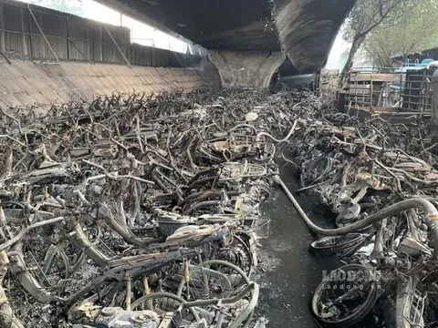 Khẩn trương làm rõ nguyên nhân, xử lý trách nhiệm vụ cháy bãi trông giữ xe dưới gầm cầu Vĩnh Tuy