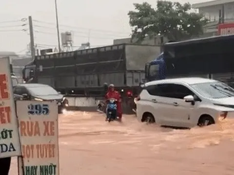 Quốc lộ thành ‘sông’, tài xế ô tô lập ‘hàng rào’ cứu xe máy giữa dòng nước xiết